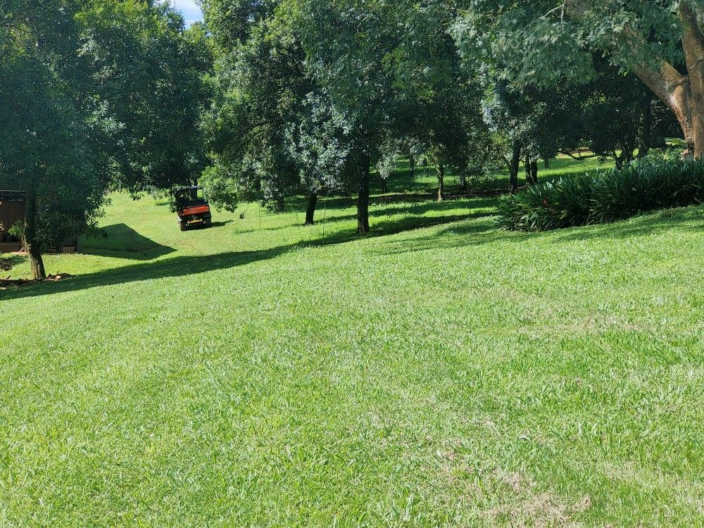 Sunny green park with grassy hills, trees, and a small red vehicle in the distance