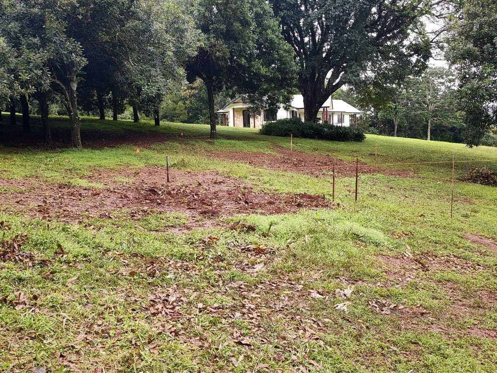 Grassy yard with a bare dirt patch, trees, and a small house in the background.