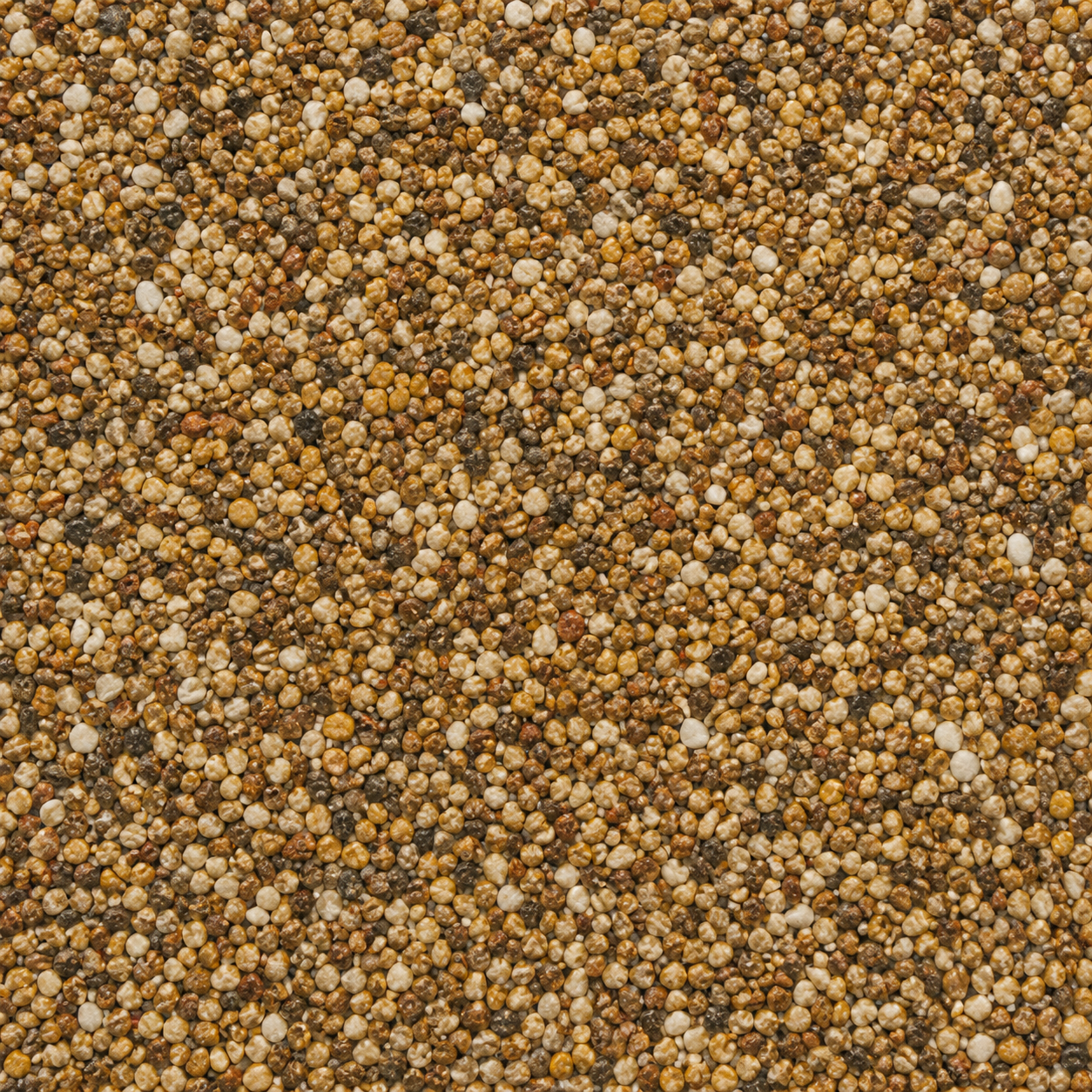 Autumn Blend