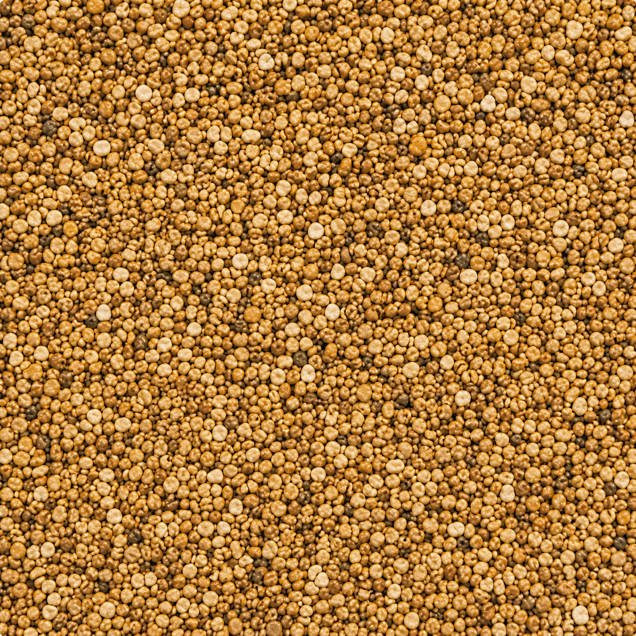 Golden Flint