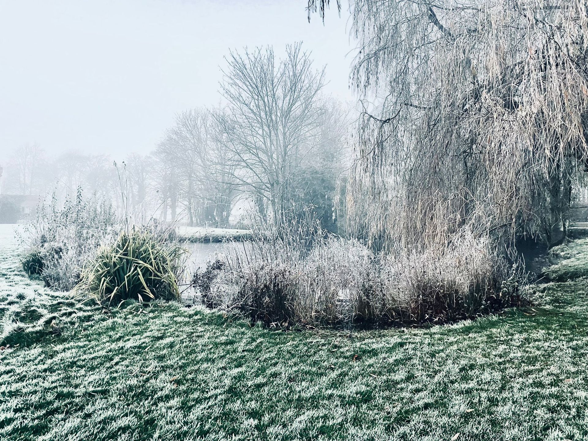 Fall and Winter