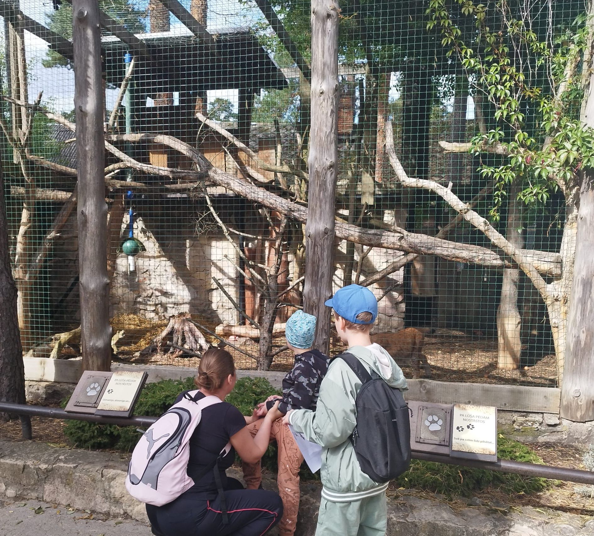 Two people stand before an animal enclosure in a zoo, looking through a wire fence at branches and a small wooden structure.