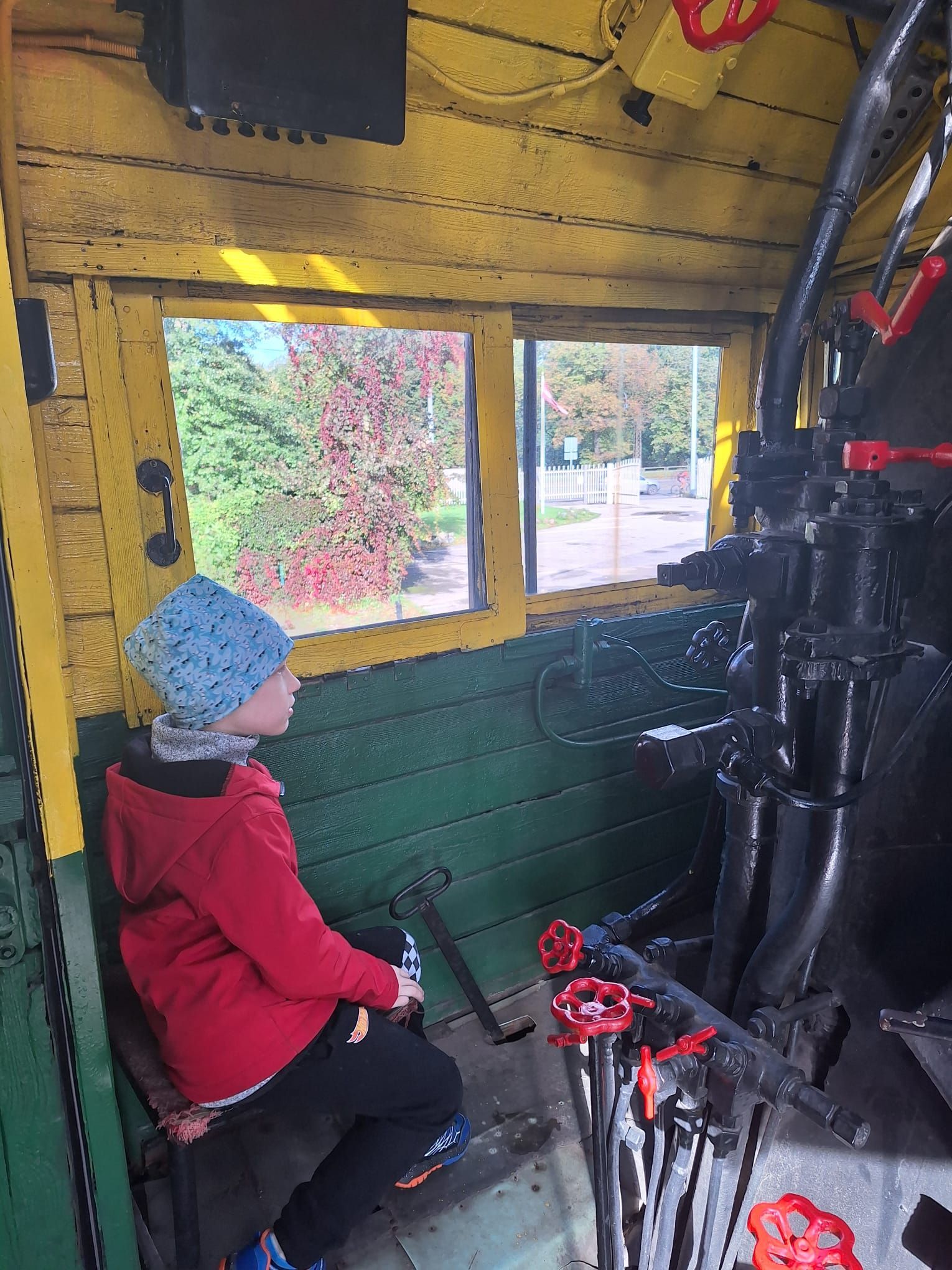 A person in a red jacket and blue hat sits in the cabin of a train, looking out the window at trees.