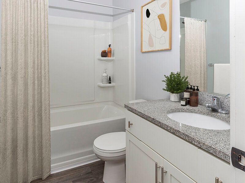 Mountain View Townhomes featuring a bathtub/shower, toilet, and granite countertop vanity.