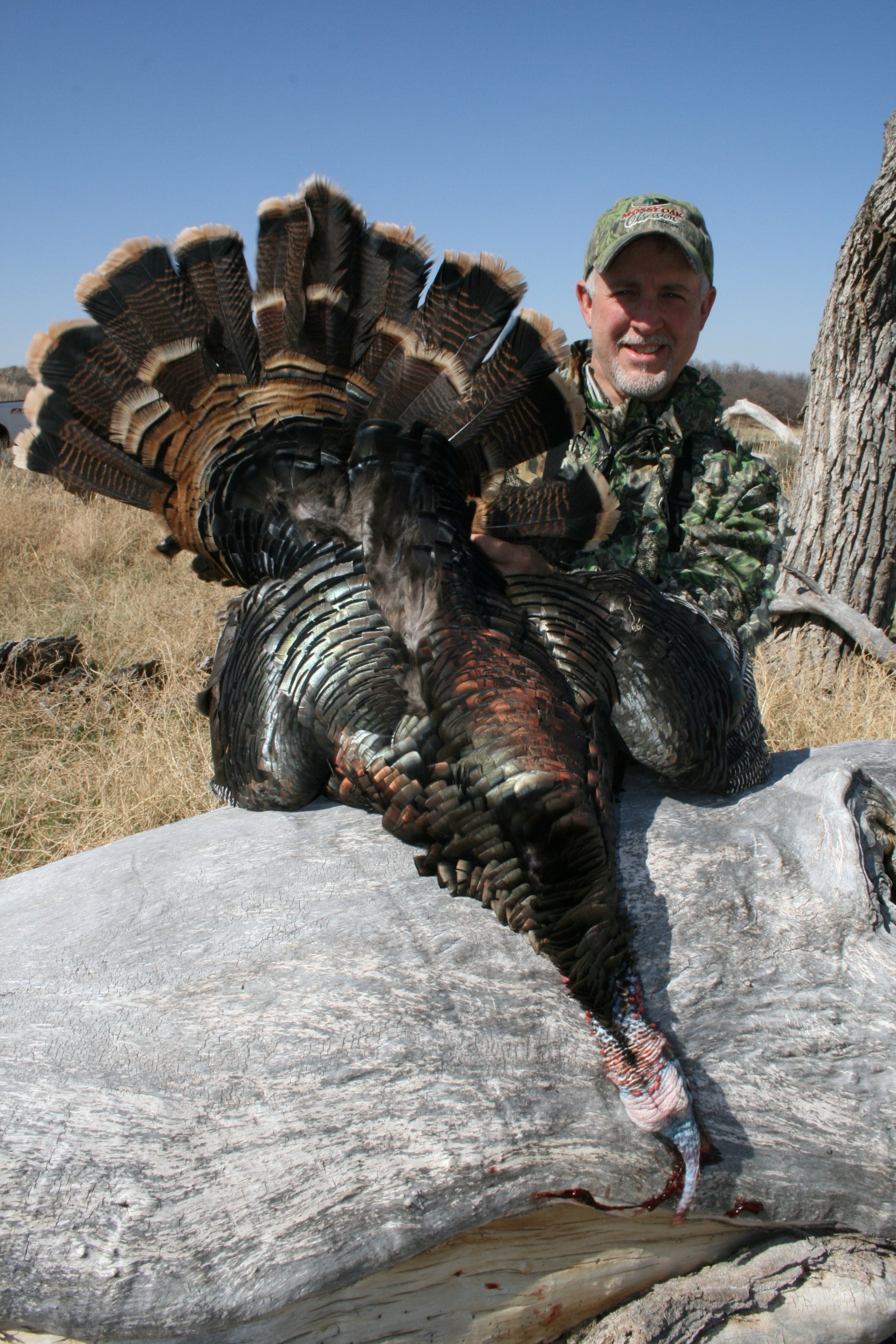 Oklahoma Turkey Hunting guide, Oklahoma Turkey Hunting Outfitter