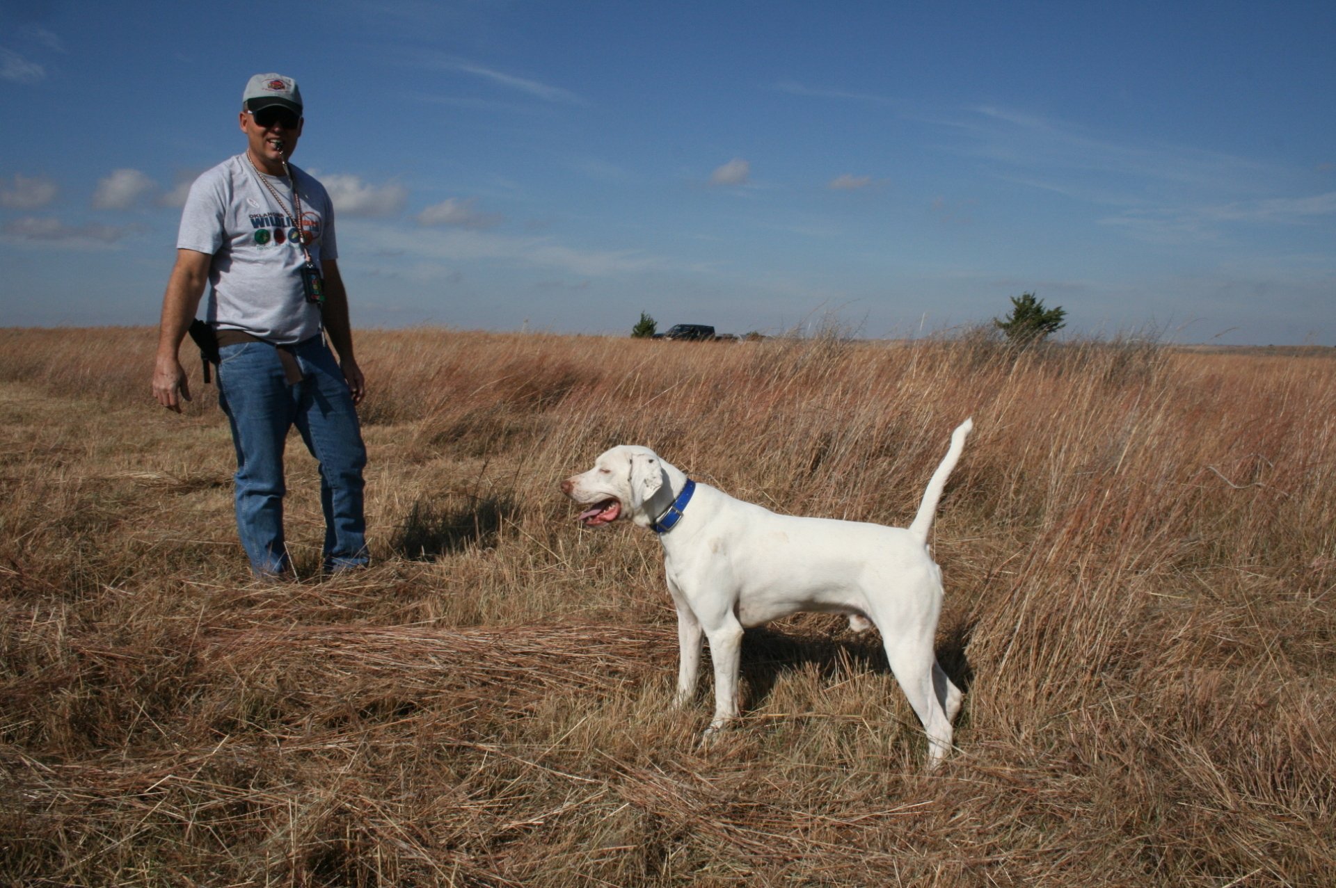 Oklahoma Quail Hunting,Guided Quail Hunt, Kansas Quail Hunting
