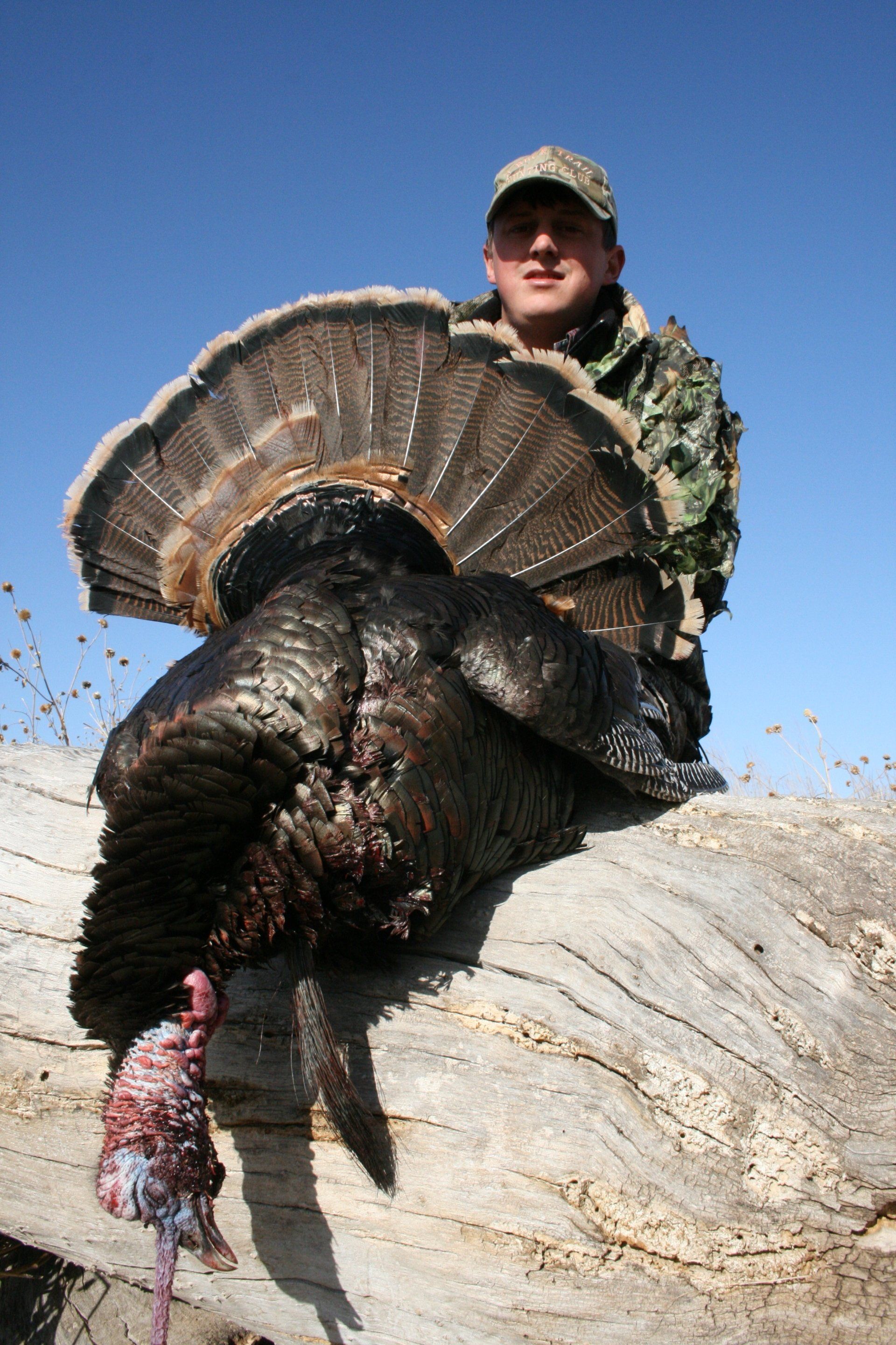 Oklahoma Turkey hunting guide, Tl Guided Hunts, Lotspeich Ranch