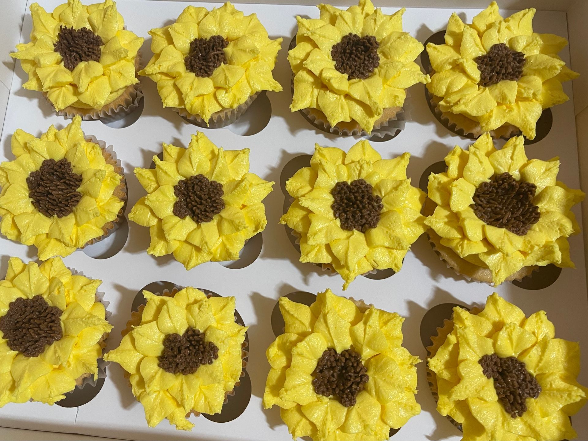 Cupcakes (standard)