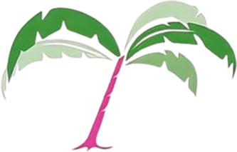 A palm tree with green and pink leaves on a white background