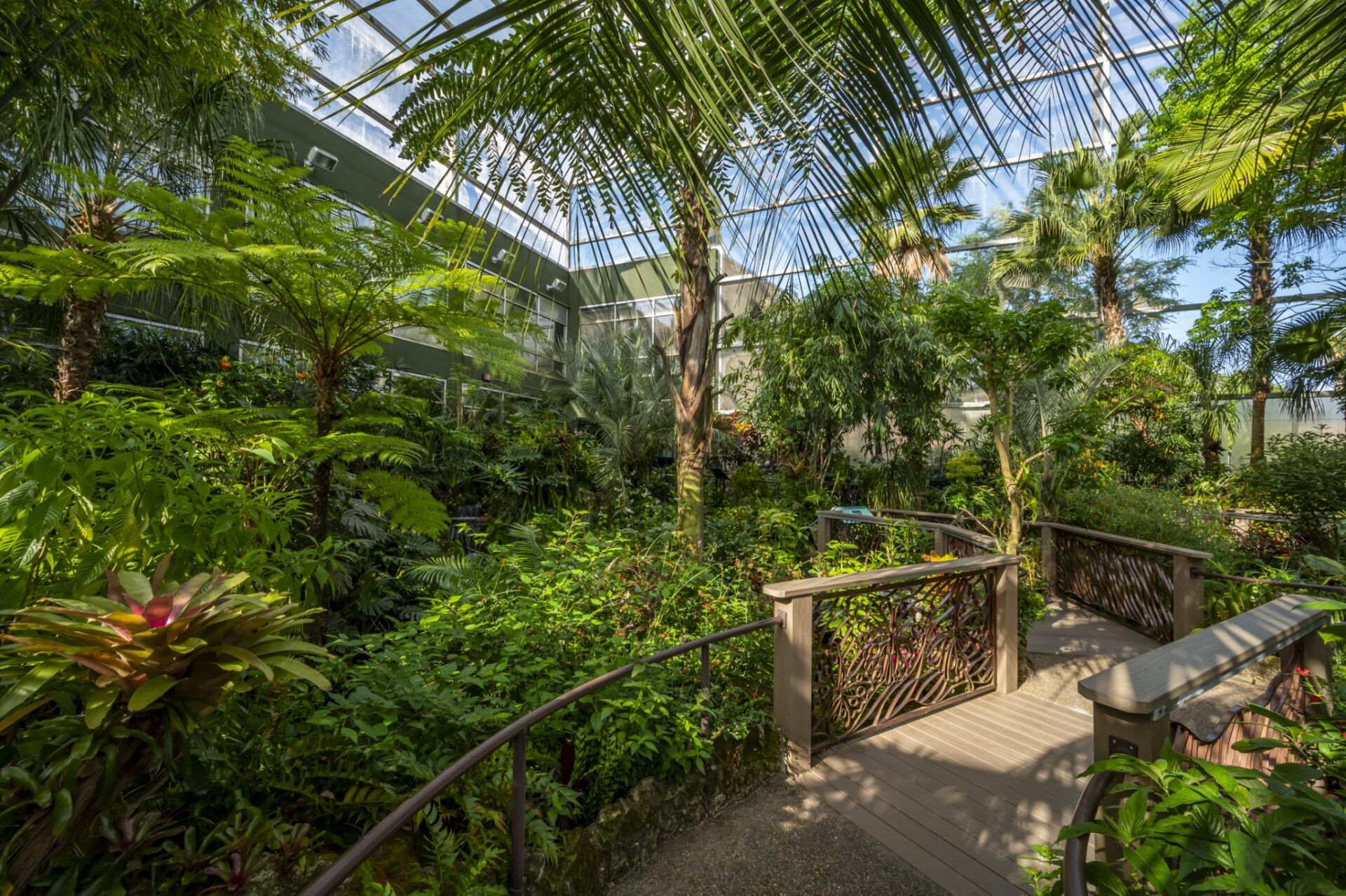 Tropical greenhouse with lush green plants, wooden walkway, and a glass ceiling.
