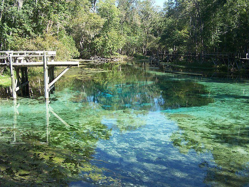 Clear, turquoise spring water surrounded by trees, with a wooden dock.