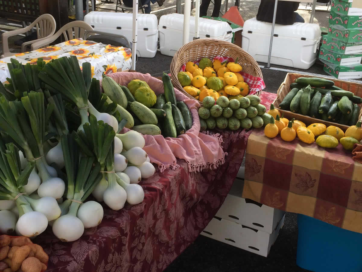 Produce on display at a farmer's market: onions, squash, and cucumbers.