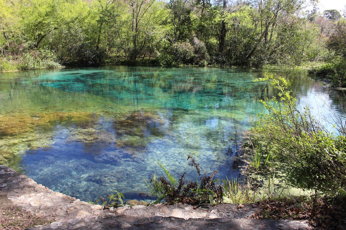 Clear turquoise and blue spring surrounded by green foliage and trees.