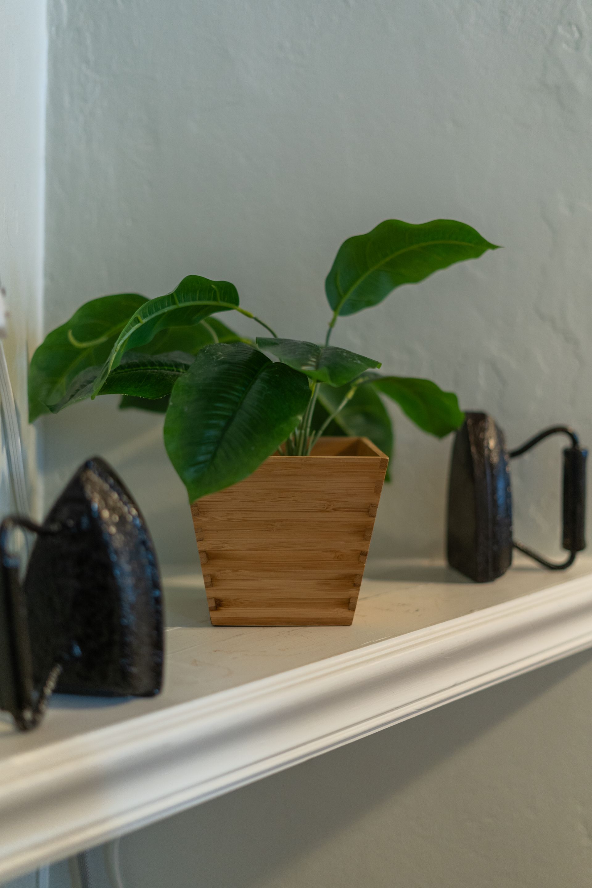 Plant in wooden pot on a shelf, flanked by antique irons, against a white wall.
