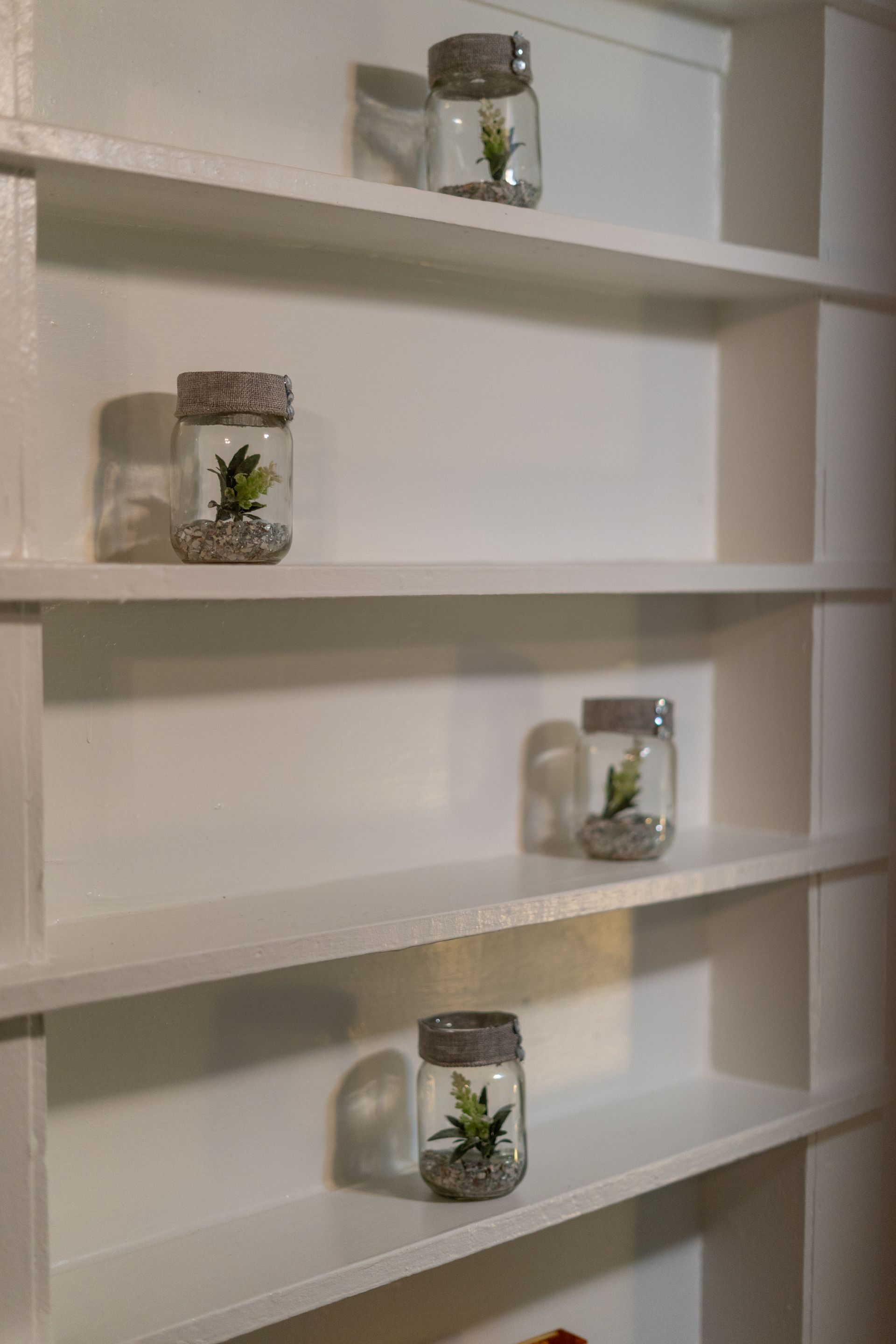 White shelves with jars containing small plants.