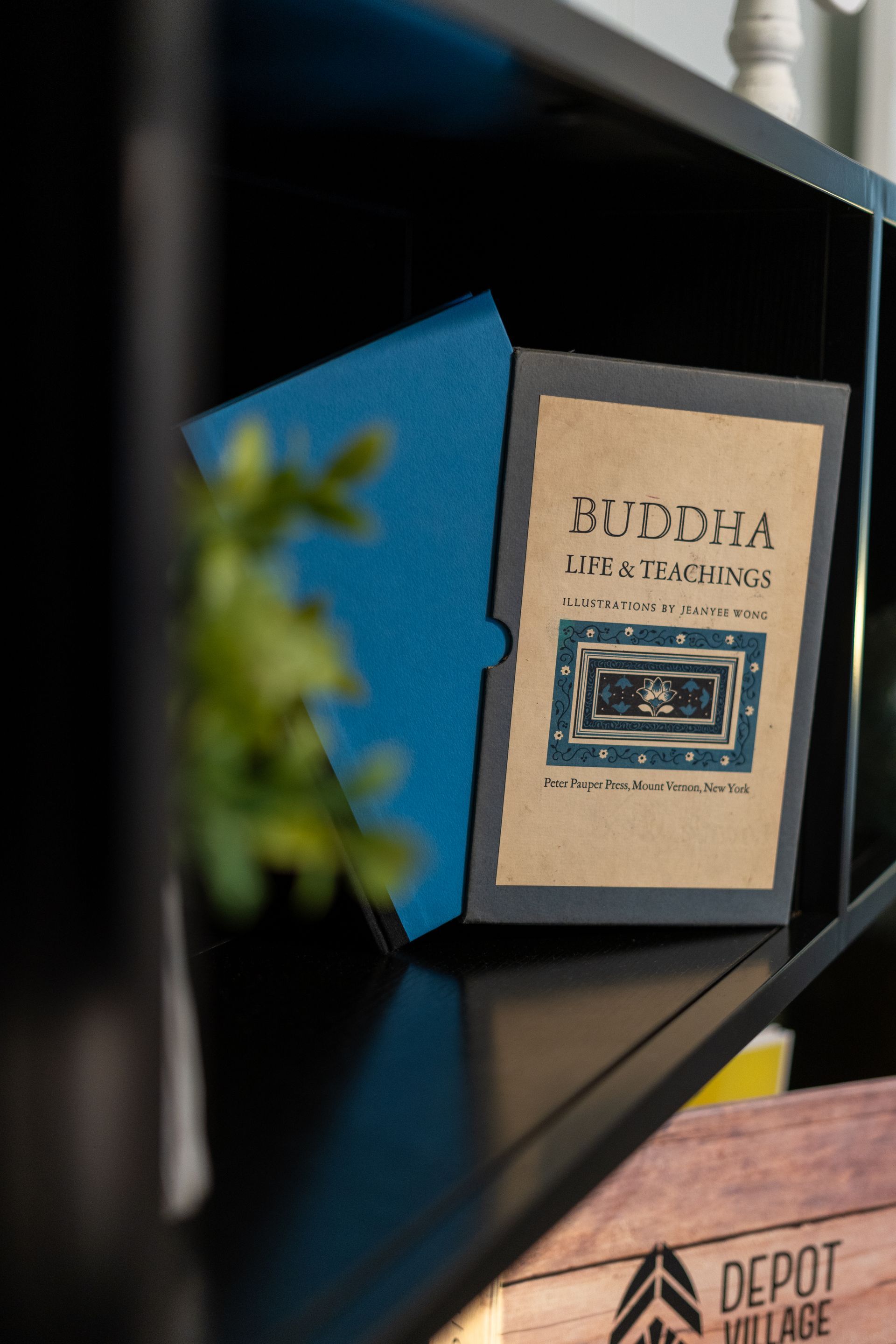 Blue book and book titled 