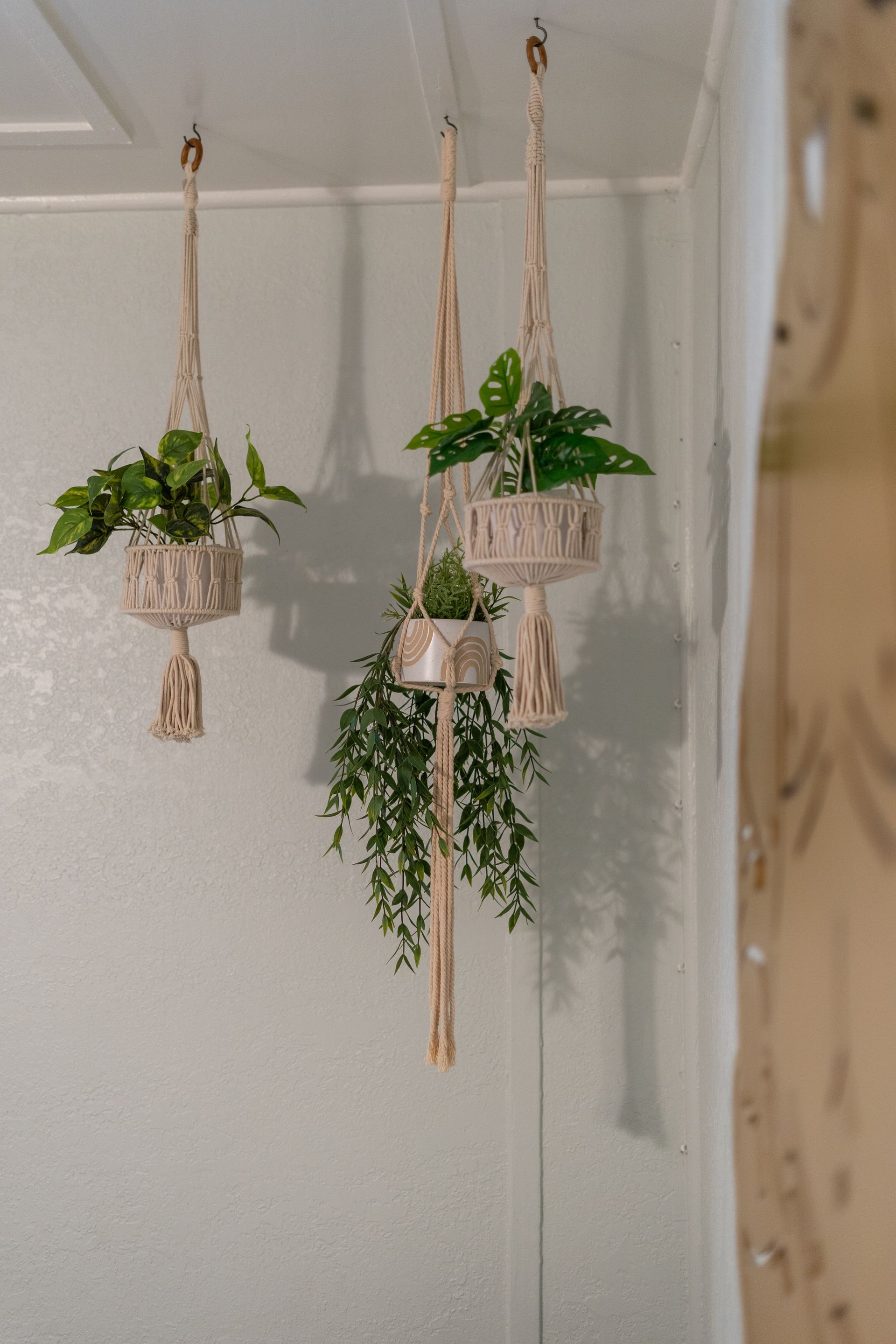 Three macrame plant hangers with green plants against a pale gray wall.