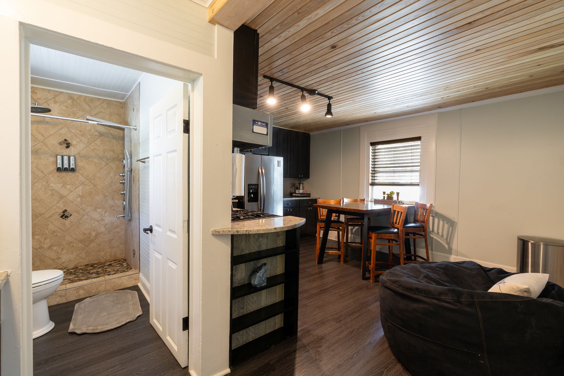 Interior view of a bathroom and living space. Includes a shower, toilet, kitchen, dining table, and bean bag chair.