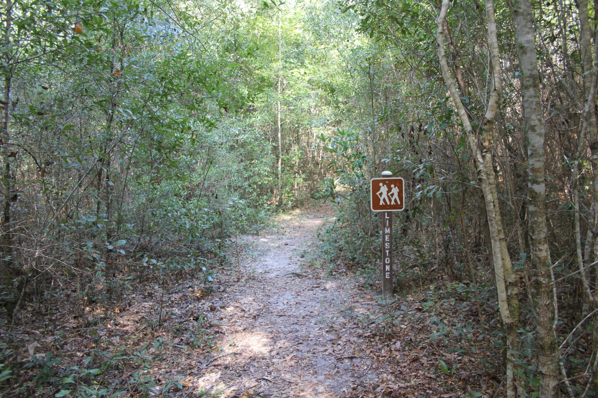 Trail through a forest, with a brown walking sign.
