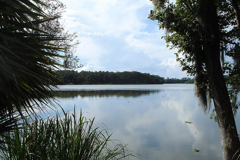 Lake scene with reflective water, framed by trees and foliage under a cloudy sky.