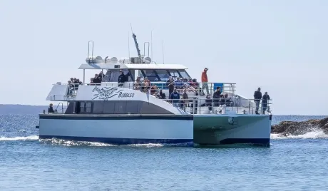 Whale Watching tours, Merimbula NSW