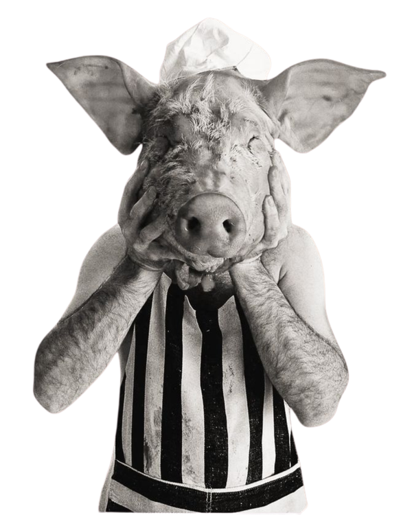 Persona con máscara de cerdo y camisa a rayas, sujetándose las mejillas con ambas manos sobre un fondo blanco.