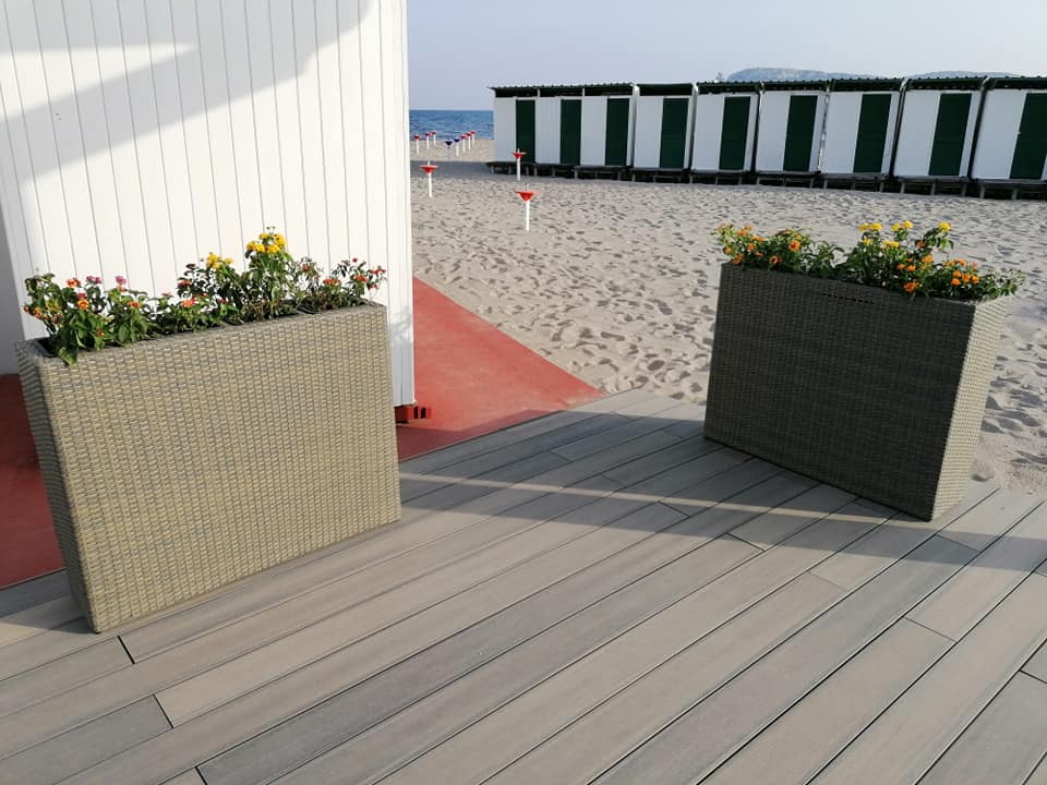 mare