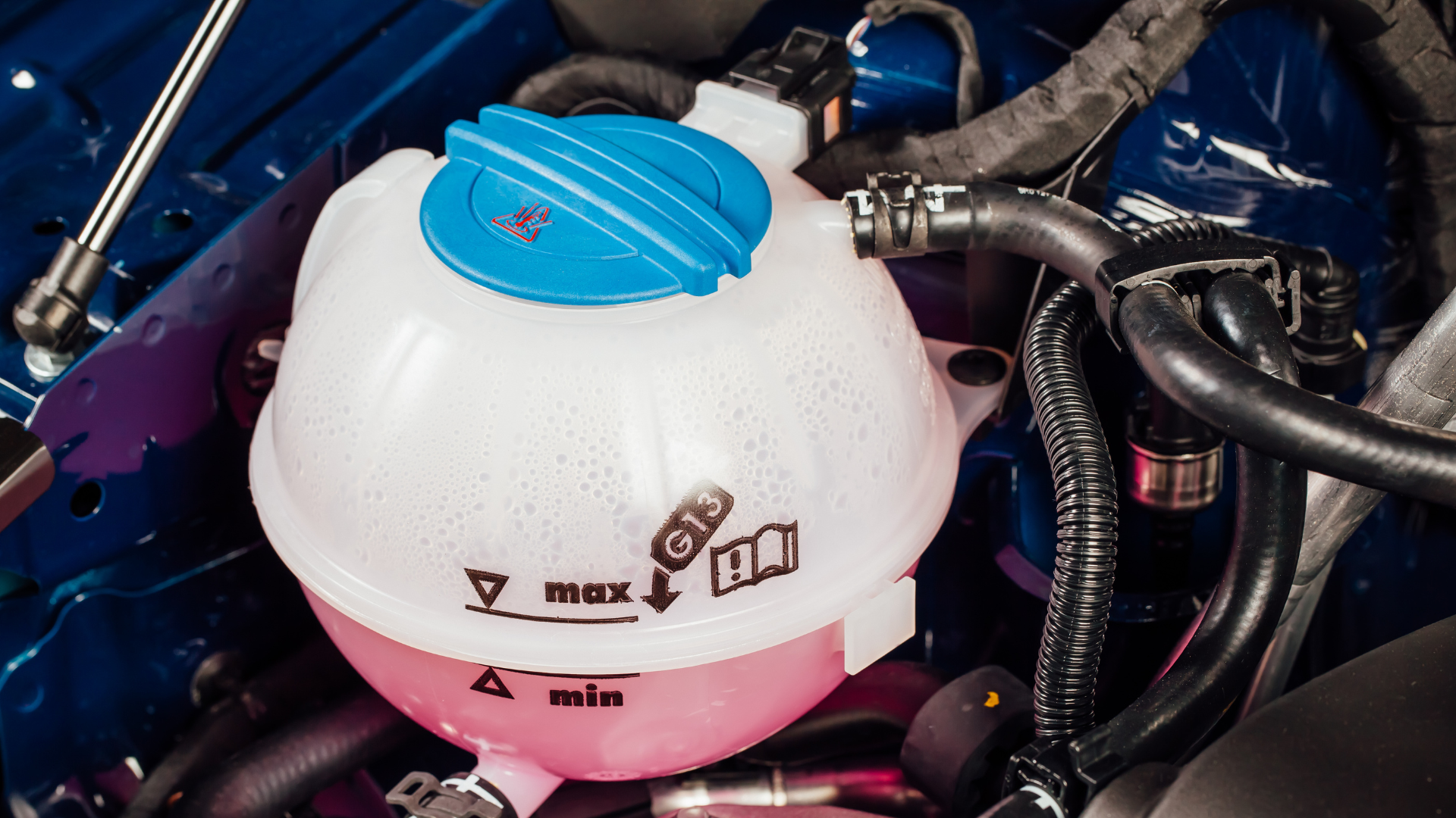 White coolant reservoir with blue cap in an engine bay, surrounded by black hoses and purple bodywork