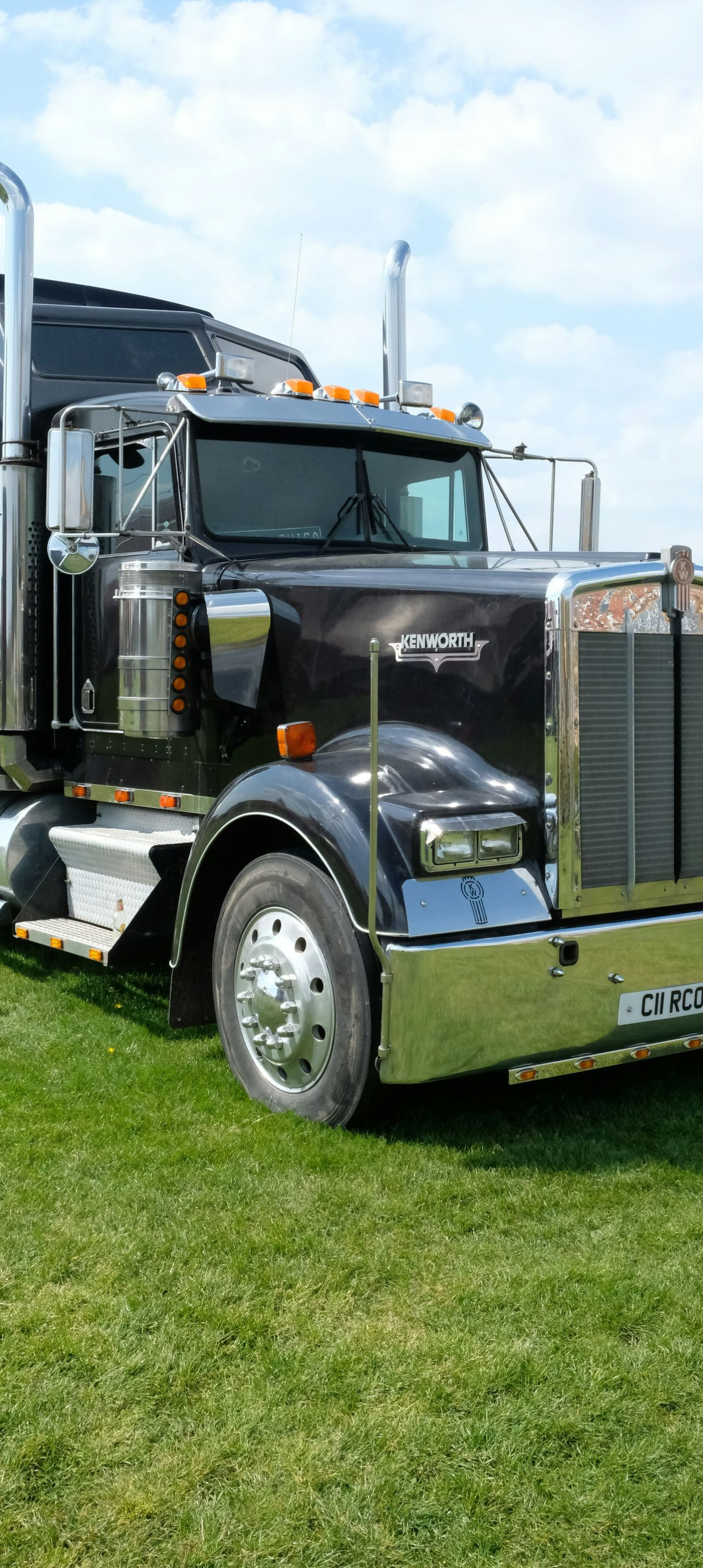 Black semi-truck with chrome grille and a cattle trailer parked on grass at an outdoor event.