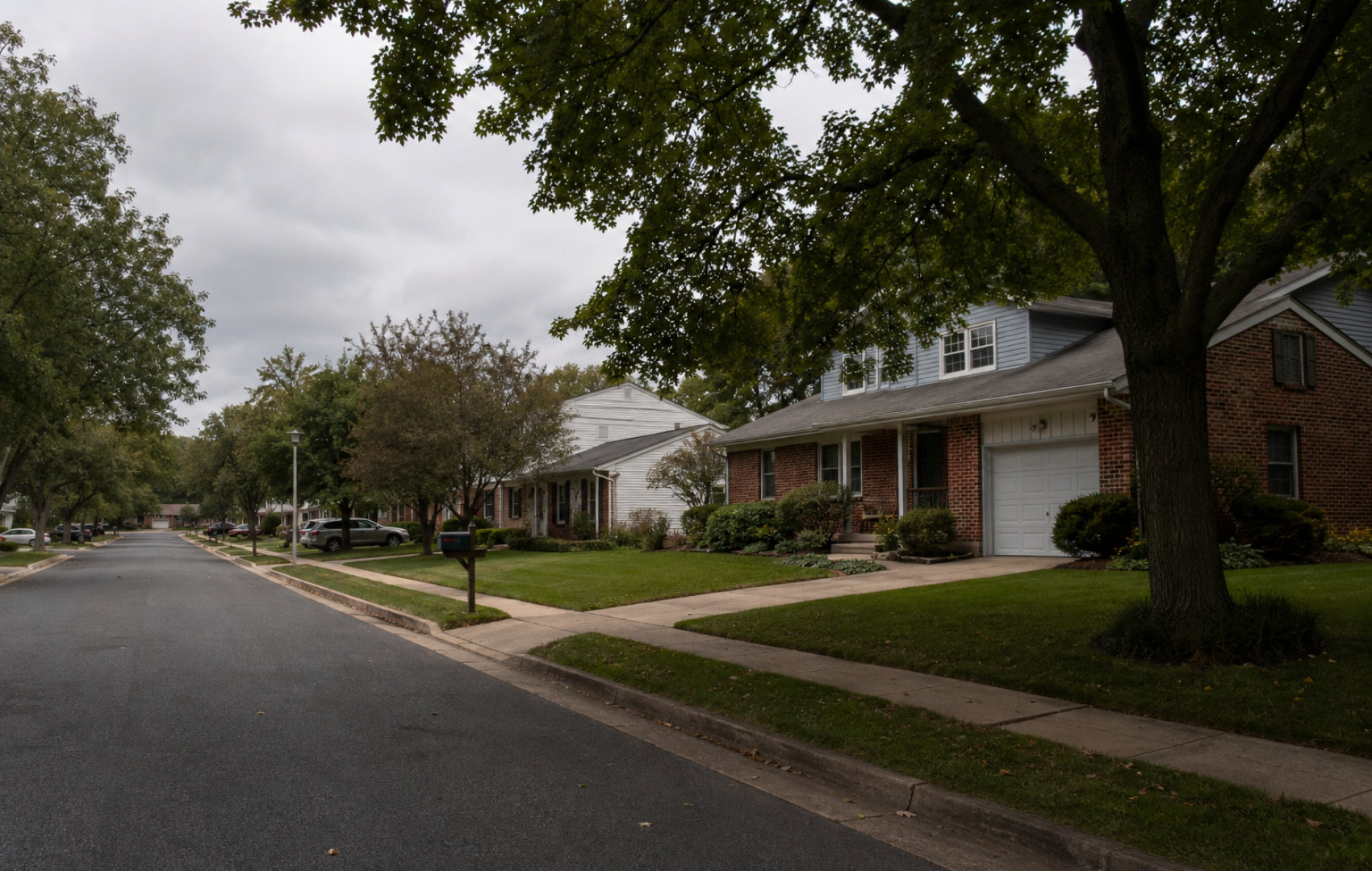 Dameron MD neighborhood trees local tree care environment