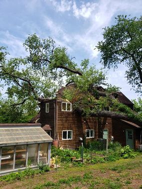 A house with a greenhouse in front of it and a tree fallen on it.