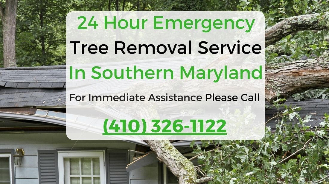 A tree has fallen on a house in southern maryland.