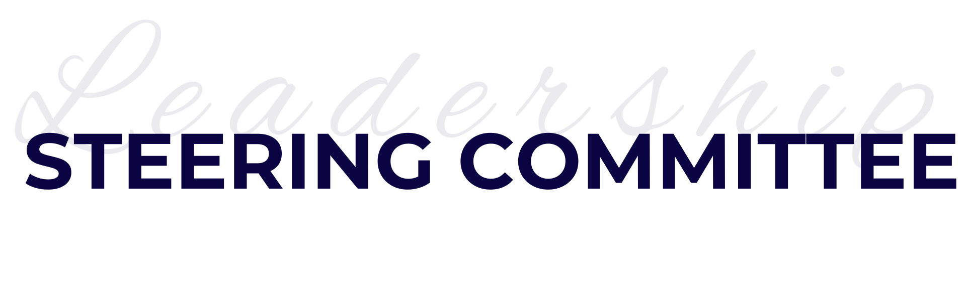 leadership and steering committee text in multi-colors