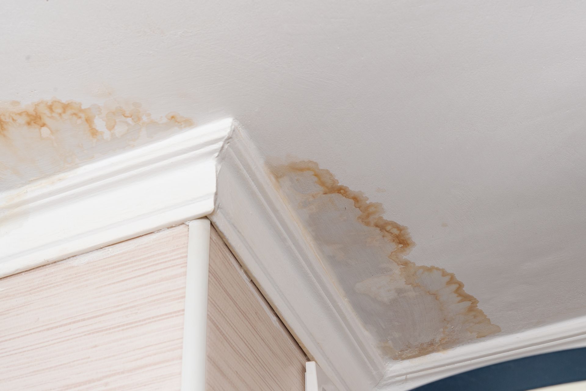 A close up of a ceiling with a stain on it.