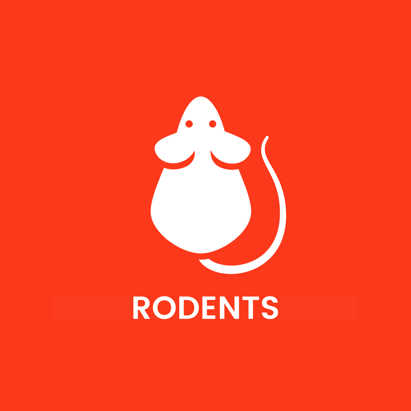 A white mouse with a long tail is on a red background.