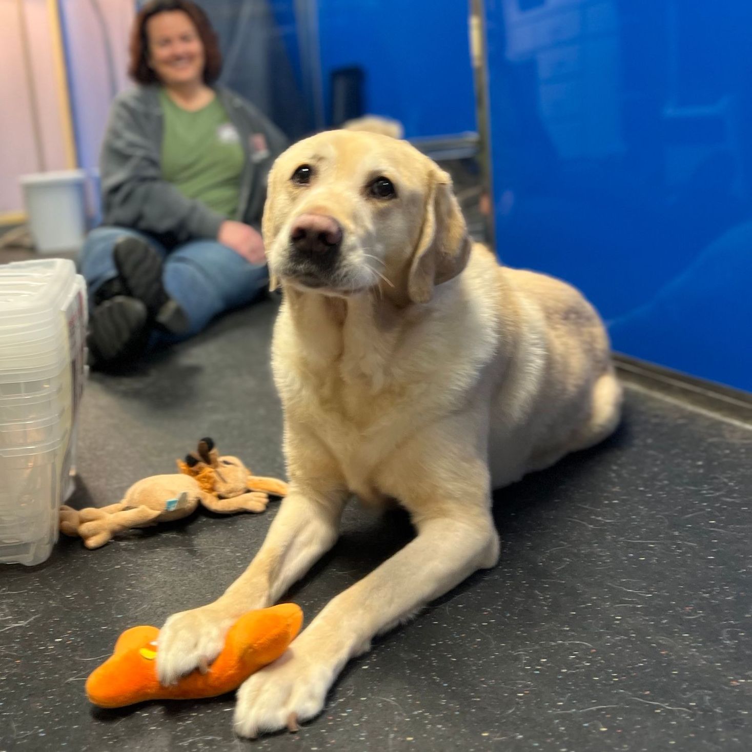 Pet Boarding in Poulsbo | Kitsap County Dog Boarding 