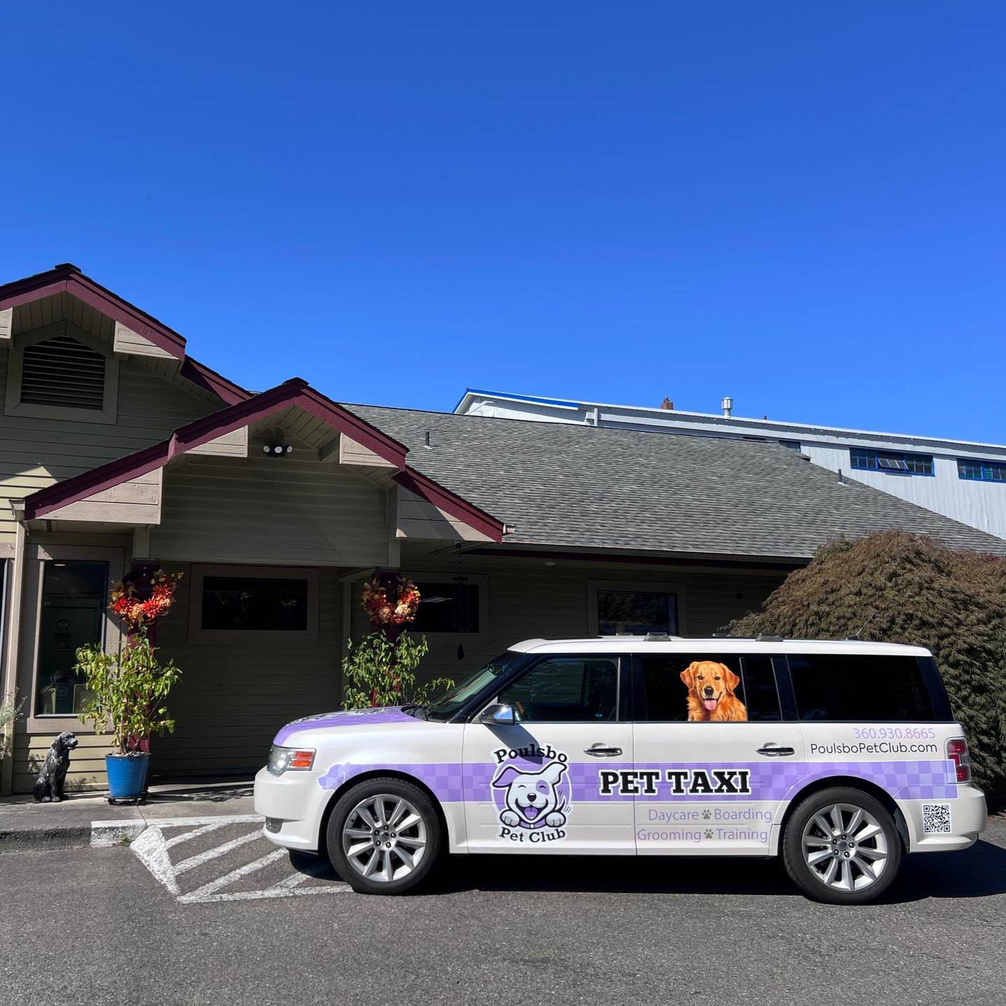 Pet Taxi in Poulsbo | Kitsap County Dog Transportation 