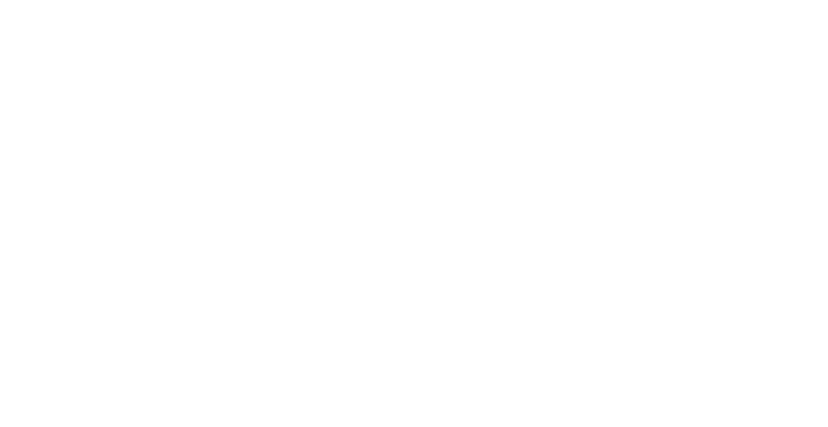 Advantage Plus logo