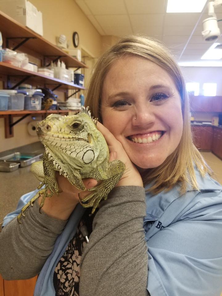 Riverside Veterinary Hospital