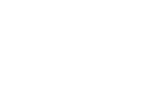 Les caraïbes
