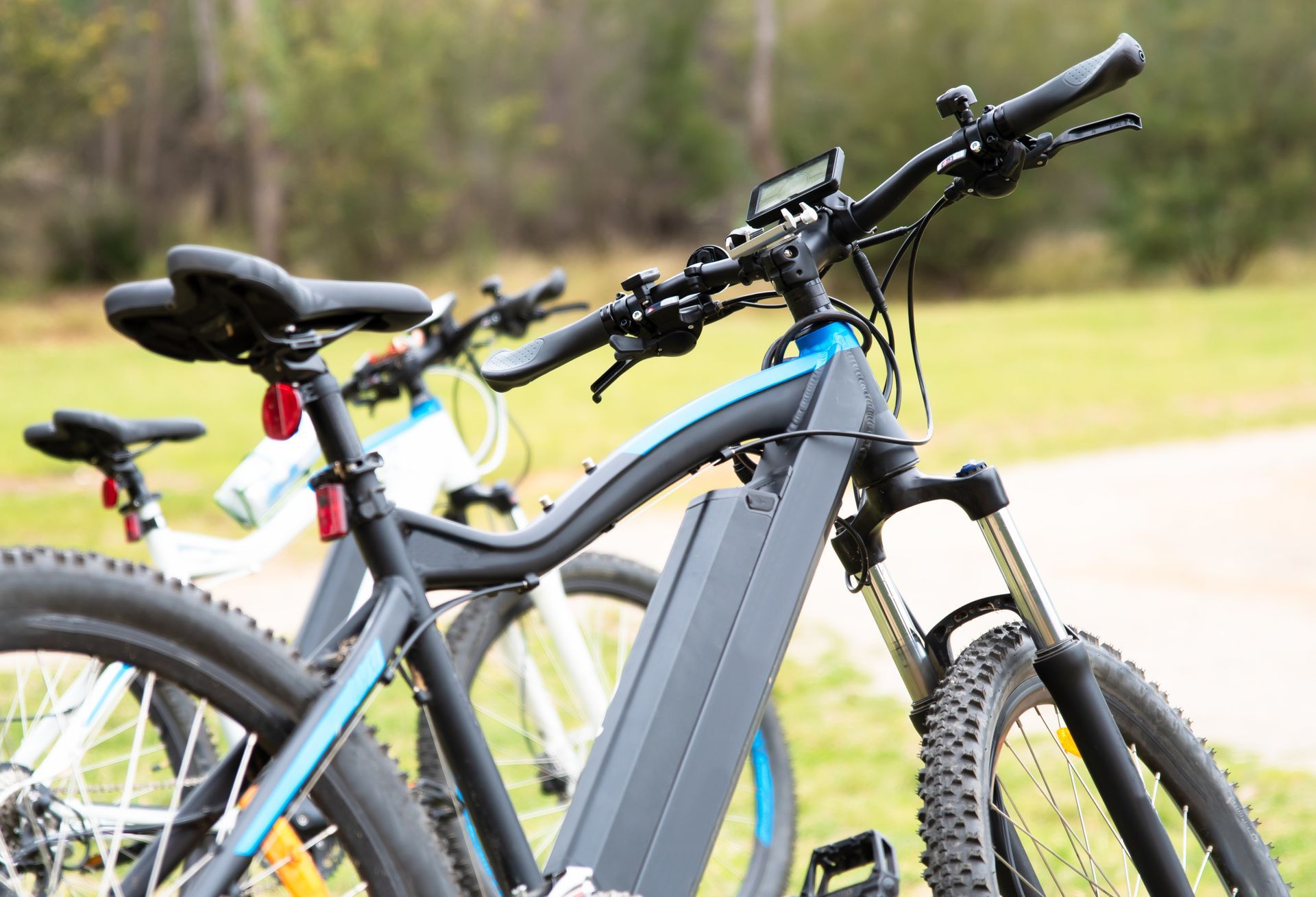 Bicycles parked outdoors, including blue and white bikes in a blurred park setting