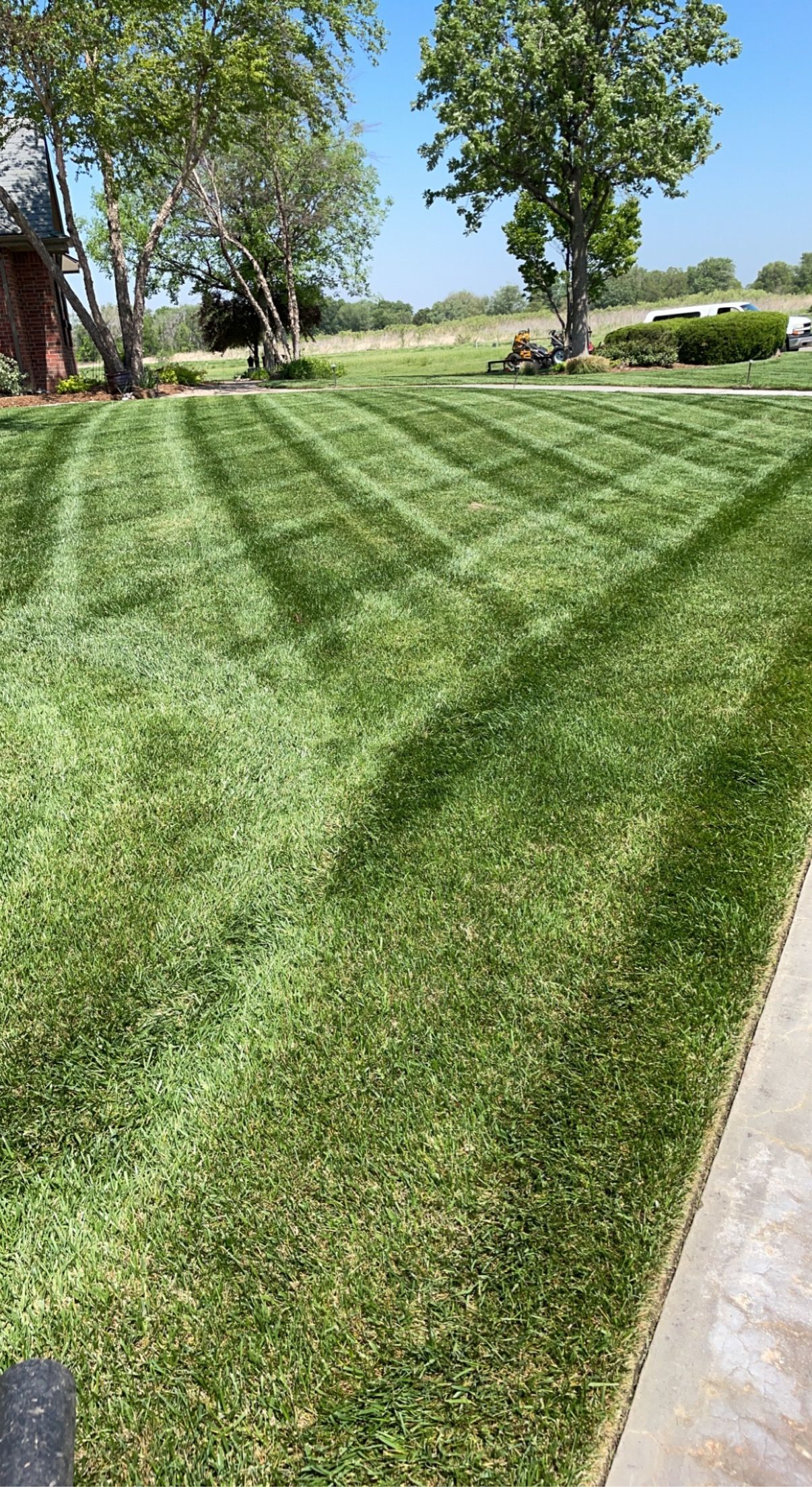 a lush green lawn with a sidewalk and trees in the background .