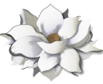 A white flower with a yellow center on a white background