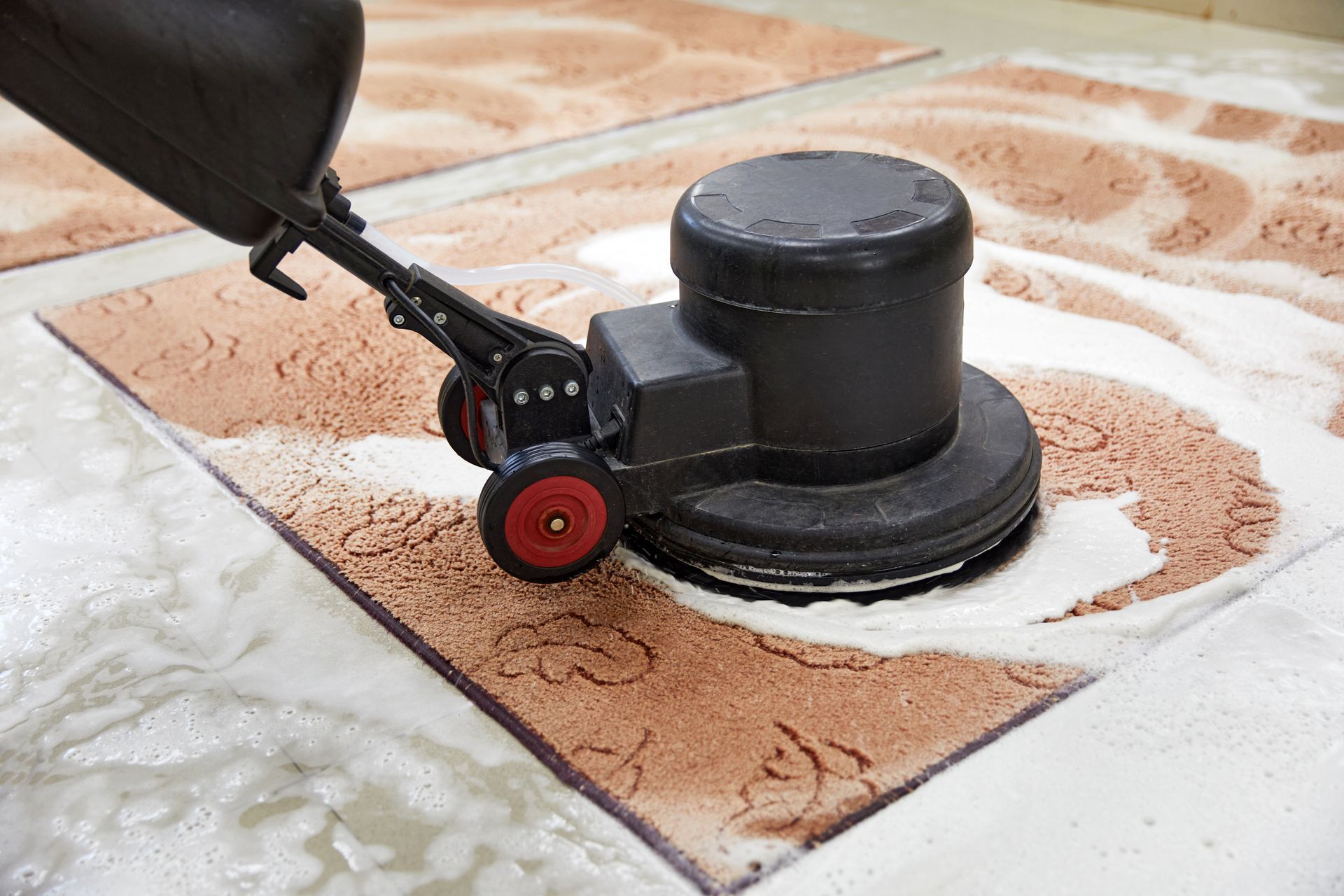 A floor buffer cleaning a patterned rug, surrounded by soapy water.