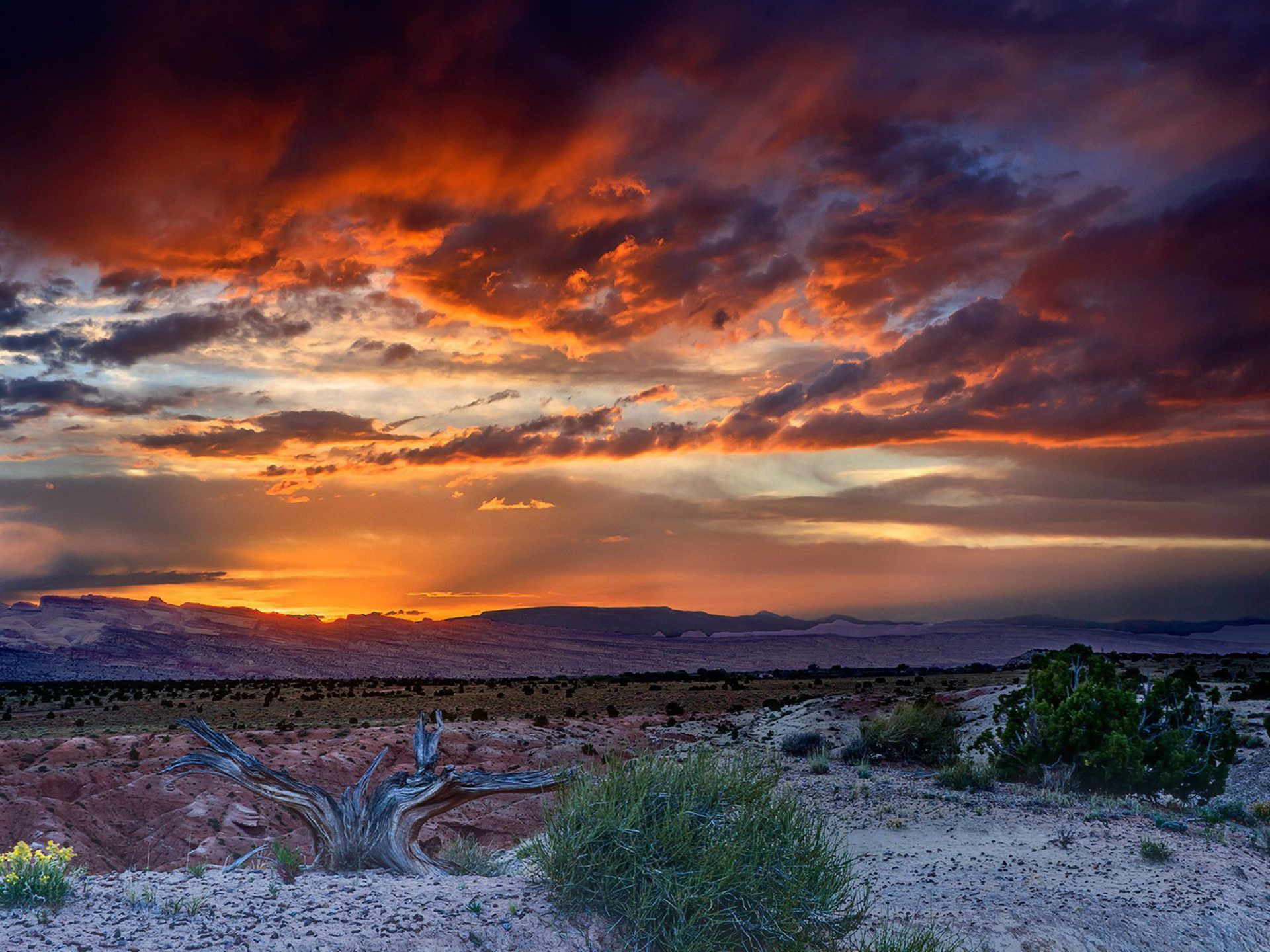 A BEAUTIFUL SUNSET