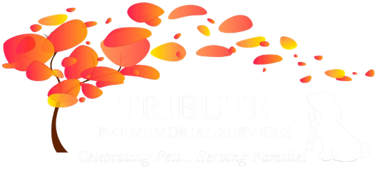logo-image