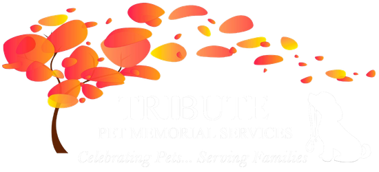 logo-image