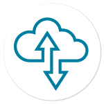 Cloud Performance Icon