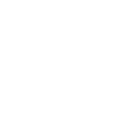 Soccer Ball Icon