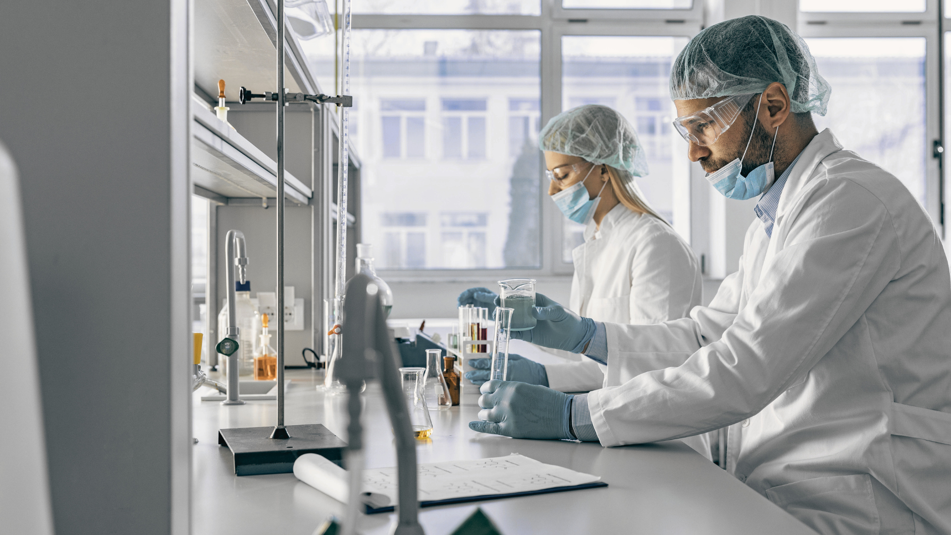 Scientists in a bright lab working with equipment near a window